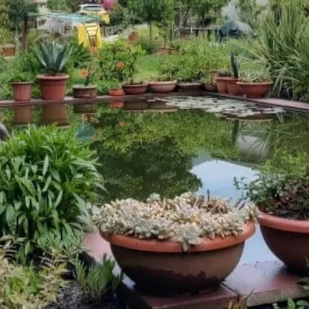 B&B Vegan La Mucca Felice - Grazioso Appartamento Nel Verde Rancio Valcuvia Exterior photo
