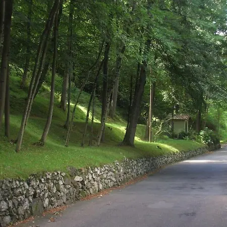 B&B Vegan La Mucca Felice - Grazioso Appartamento Nel Verde Rancio Valcuvia Exterior photo