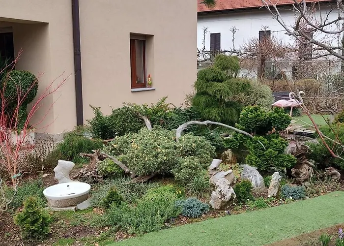 B&B Vegan La Mucca Felice - Grazioso Appartamento Nel Verde