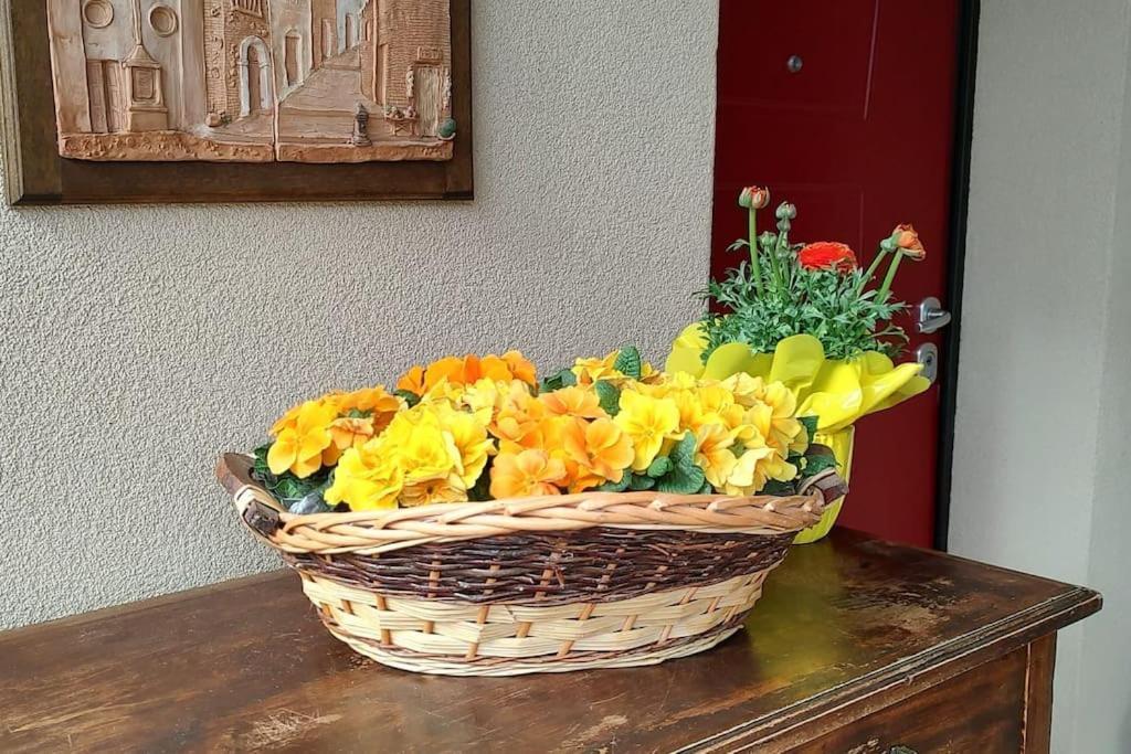 Vegan La Mucca Felice - Grazioso Nel