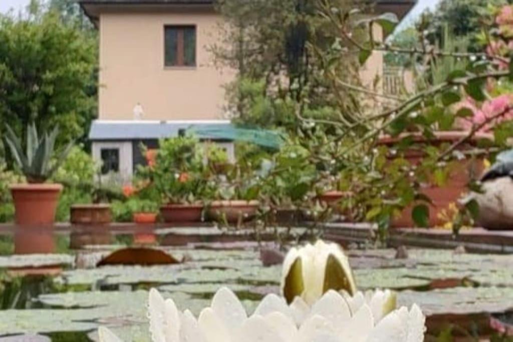 Apartment Vegan La Mucca Felice - Grazioso Nel *